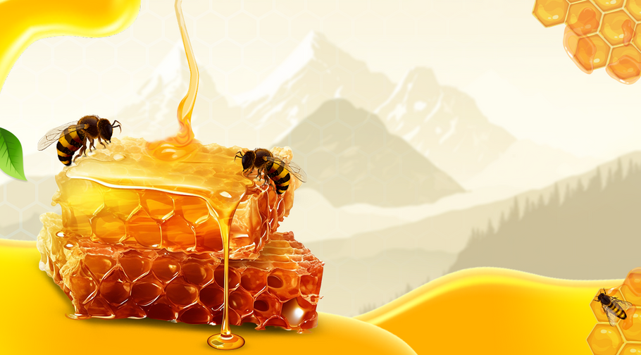 The Mysterious World of Himalayan Cliff Bees | Apis Laboriosa