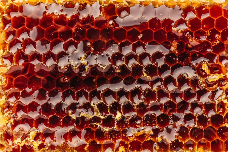 Himalayan Honey: The Deep Sleep Supplement